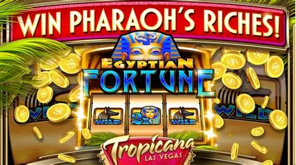 VIP Rewards System