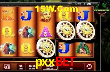 Design Responsivo pxxbet