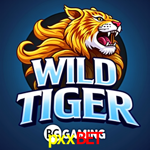 A Experiência Imersiva dos Cassinos Ao Vivo no pxxbet